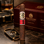Macanudo Sumatra Robusto cigar from Anchor & Ash Cigar Co. with a dark, textured wrapper and a lit, ready-to-smoke appearance.